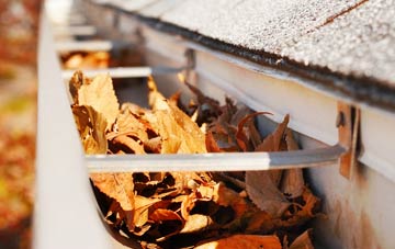Plumtree gutter cleaning companies