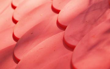 Plumtree plastic roof costs