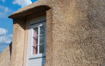 Plumtree thatch roof disadvantages