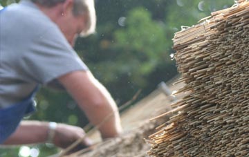 professional Plumtree thatchers